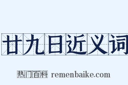 廿九日近义词是什么意思的图片